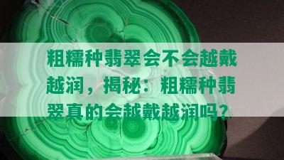 粗糯种翡翠会不会越戴越润，揭秘：粗糯种翡翠真的会越戴越润吗？