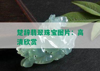 楚辞翡翠珠宝图片：高清欣赏