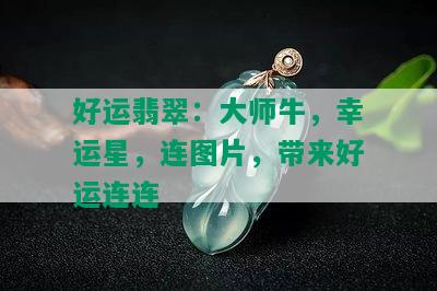 好运翡翠：大师牛，幸运星，连图片，带来好运连连