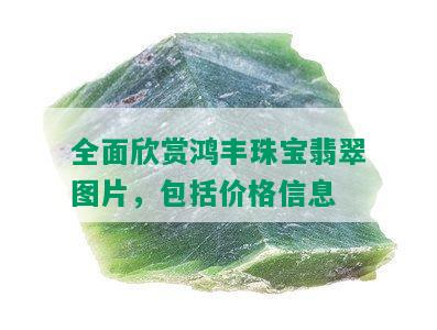 全面欣赏鸿丰珠宝翡翠图片，包括价格信息