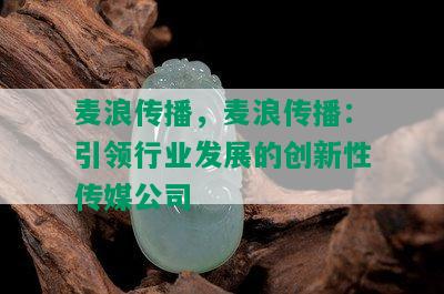 麦浪传播，麦浪传播：引领行业发展的创新性传媒公司