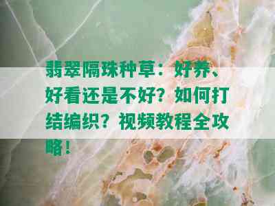 翡翠隔珠种草：好养、好看还是不好？如何打结编织？视频教程全攻略！