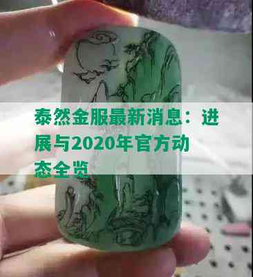 泰然金服最新消息：进展与2020年官方动态全览