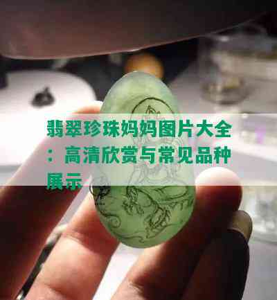 翡翠珍珠妈妈图片大全：高清欣赏与常见品种展示