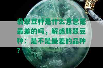 翡翠豆种是什么意思是最差的吗，解惑翡翠豆种：是不是最差的品种？