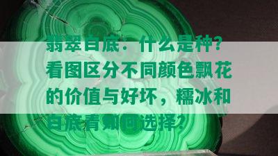 翡翠白底：什么是种？看图区分不同颜色飘花的价值与好坏，糯冰和白底青如何选择？