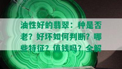 油性好的翡翠：种是否老？好坏如何判断？哪些特征？值钱吗？全解