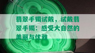 翡翠手镯试戴，试戴翡翠手镯：感受大自然的美丽与优雅