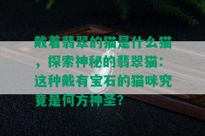 戴着翡翠的猫是什么猫，探索神秘的翡翠猫：这种戴有宝石的猫咪究竟是何方神圣？