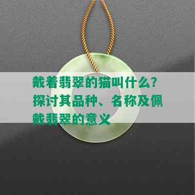 戴着翡翠的猫叫什么？探讨其品种、名称及佩戴翡翠的意义