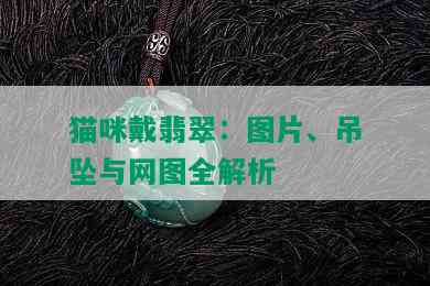 猫咪戴翡翠：图片、吊坠与网图全解析