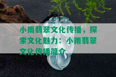 小雨翡翠文化传播，探索文化魅力：小雨翡翠文化传播简介