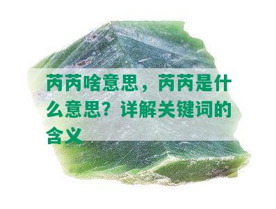 芮芮啥意思，芮芮是什么意思？详解关键词的含义