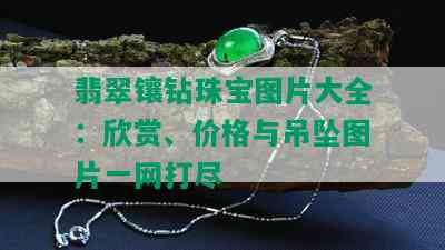 翡翠镶钻珠宝图片大全：欣赏、价格与吊坠图片一网打尽