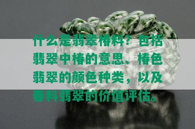 什么是翡翠椿料？包括翡翠中椿的意思、椿色翡翠的颜色种类，以及春料翡翠的价值评估。