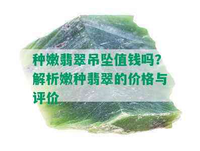 种嫩翡翠吊坠值钱吗？解析嫩种翡翠的价格与评价