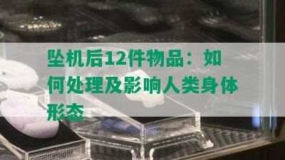 坠机后12件物品：如何处理及影响人类身体形态