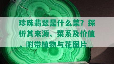 珍珠翡翠是什么菜？探析其来源、菜系及价值，附带植物与花图片