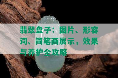 翡翠盘子：图片、形容词、简笔画展示，效果与养护全攻略