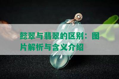 懿翠与翡翠的区别：图片解析与含义介绍