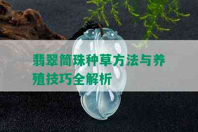 翡翠筒珠种草方法与养殖技巧全解析