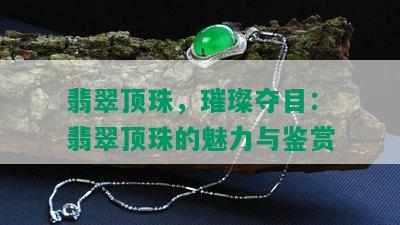 翡翠顶珠，璀璨夺目：翡翠顶珠的魅力与鉴赏