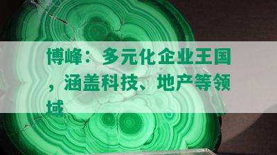 博峰：多元化企业王国，涵盖科技、地产等领域