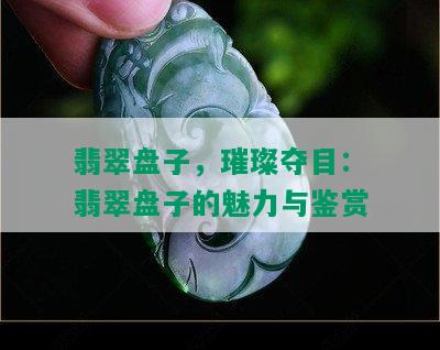 翡翠盘子，璀璨夺目：翡翠盘子的魅力与鉴赏