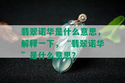 翡翠诺华是什么意思，解释一下，“翡翠诺华”是什么意思？