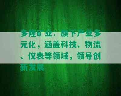 多隆矿业：旗下产业多元化，涵盖科技、物流、仪表等领域，领导创新发展