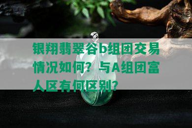 银翔翡翠谷b组团交易情况如何？与A组团富人区有何区别？