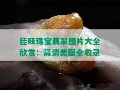 佳旺珠宝翡翠图片大全欣赏：高清美图全收录