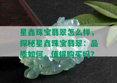 星鑫珠宝翡翠怎么样，探秘星鑫珠宝翡翠：品质如何，值得购买吗？