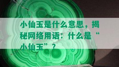 小仙玉是什么意思，揭秘网络用语：什么是“小仙玉”？