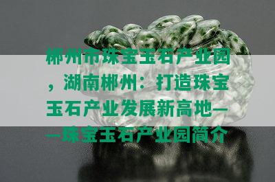 郴州市珠宝玉石产业园，湖南郴州：打造珠宝玉石产业发展新高地——珠宝玉石产业园简介