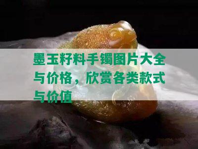 墨玉籽料手镯图片大全与价格，欣赏各类款式与价值