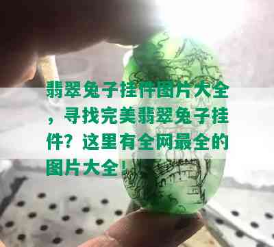 翡翠兔子挂件图片大全，寻找完美翡翠兔子挂件？这里有全网最全的图片大全！