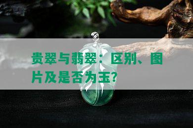 贵翠与翡翠：区别、图片及是否为玉？