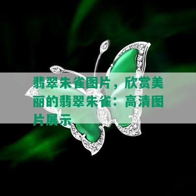 翡翠朱雀图片，欣赏美丽的翡翠朱雀：高清图片展示