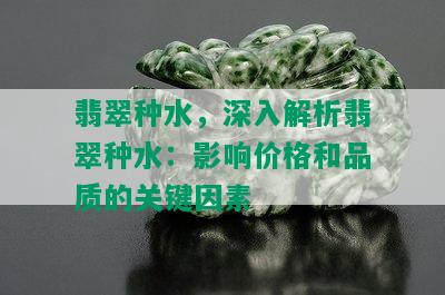 翡翠种水，深入解析翡翠种水：影响价格和品质的关键因素