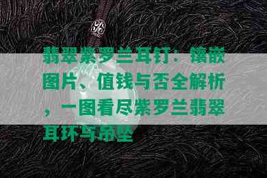 翡翠紫罗兰耳钉：镶嵌图片、值钱与否全解析，一图看尽紫罗兰翡翠耳环与吊坠