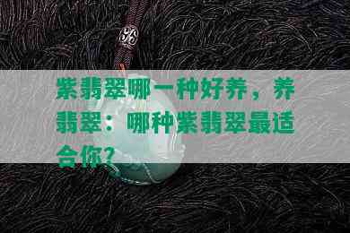 紫翡翠哪一种好养，养翡翠：哪种紫翡翠最适合你？