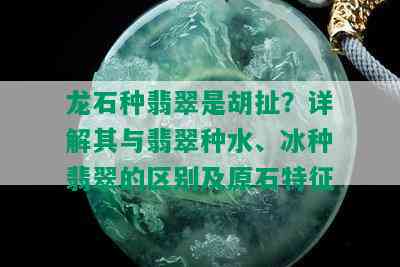 龙石种翡翠是胡扯？详解其与翡翠种水、冰种翡翠的区别及原石特征