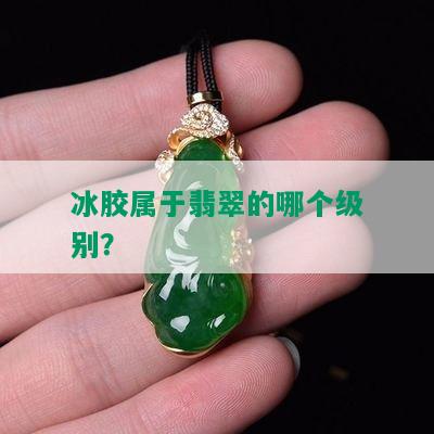 冰胶属于翡翠的哪个级别？