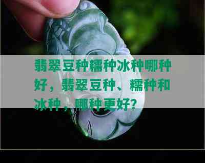 翡翠豆种糯种冰种哪种好，翡翠豆种、糯种和冰种，哪种更好？