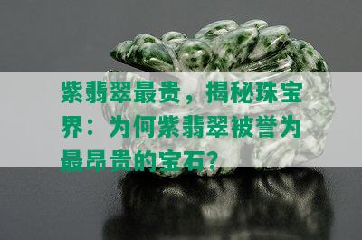 紫翡翠最贵，揭秘珠宝界：为何紫翡翠被誉为最昂贵的宝石？