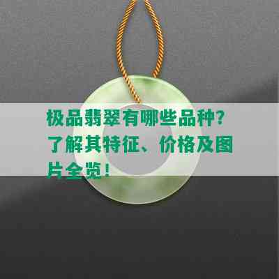 极品翡翠有哪些品种？了解其特征、价格及图片全览！