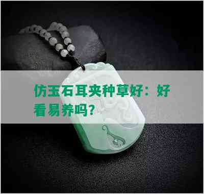 仿玉石耳夹种草好：好看易养吗？