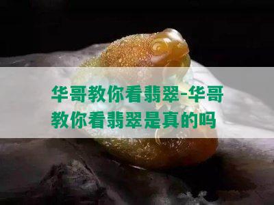 华哥教你看翡翠-华哥教你看翡翠是真的吗