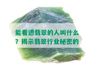 能看透翡翠的人叫什么？揭示翡翠行业秘密的